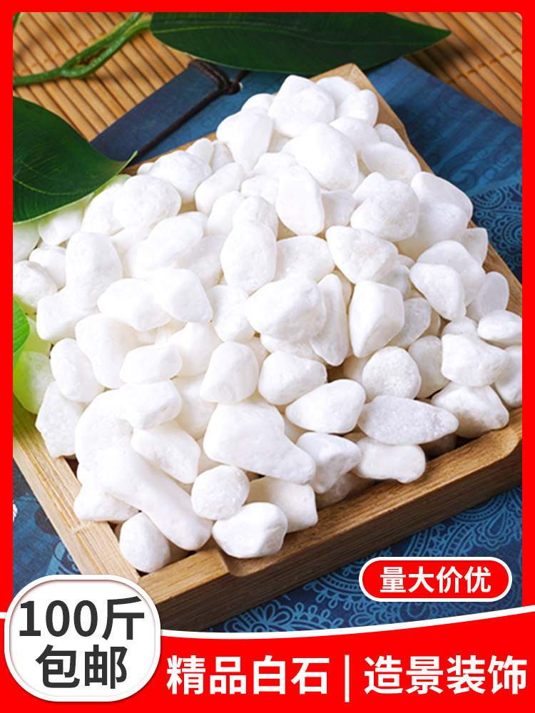100 pounds of pure white stone stone size goose soft pebble Courtyard paving landscape dry landscape small white stone