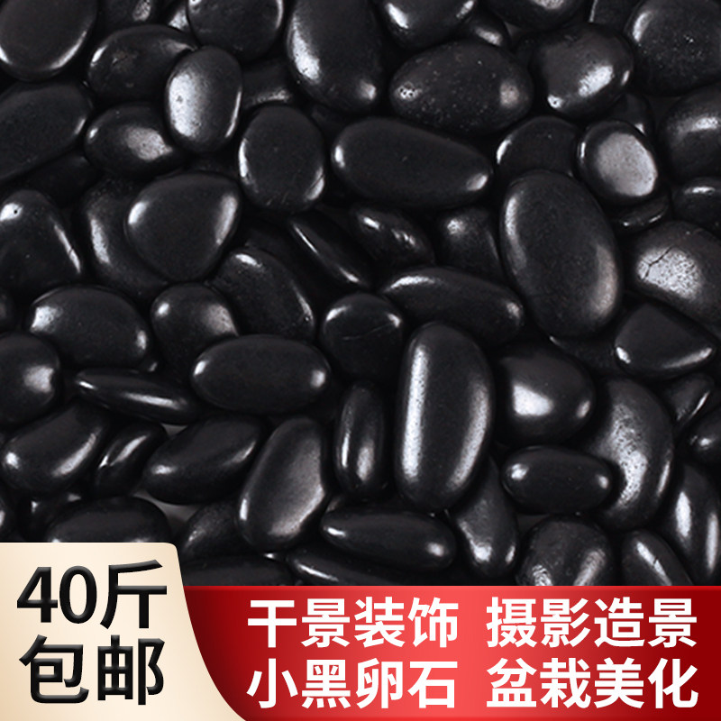 Black cobblestone polished ravioli stone original stone natural decoration with view multi-meat potted patio paved with small stones