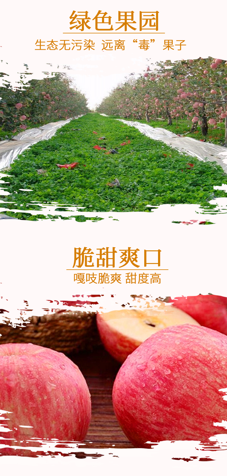 山西万荣红富士 带箱10斤 净重9斤 果径75-80mm 图2
