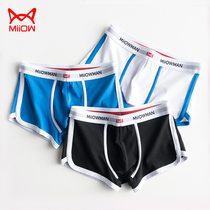 Cat underwear male trend personality quadcorn pupil high school students breathable tide flat shorts
