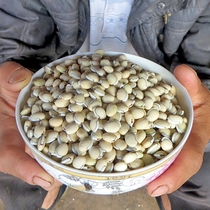 Yunnans old variety white lentils to dispel wet medical Chinese herbal medicine herbal medicine Fresh 1kg selected farmhouse Self-seed dried goods Organic