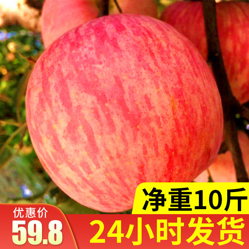 2021 New Apple Fruit Fresh Yantai Qixia Red Fuji Ping'an Fruit Christmas Ugly Apple Sugar Heart Jin Crisp Sweet 5
