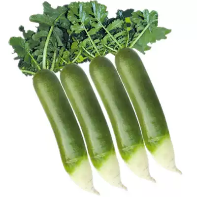 Fresh 5kg of Weifang Luofu now, Shandong fruit, Luofu Weixian Luob specialty green luob fresh vegetables