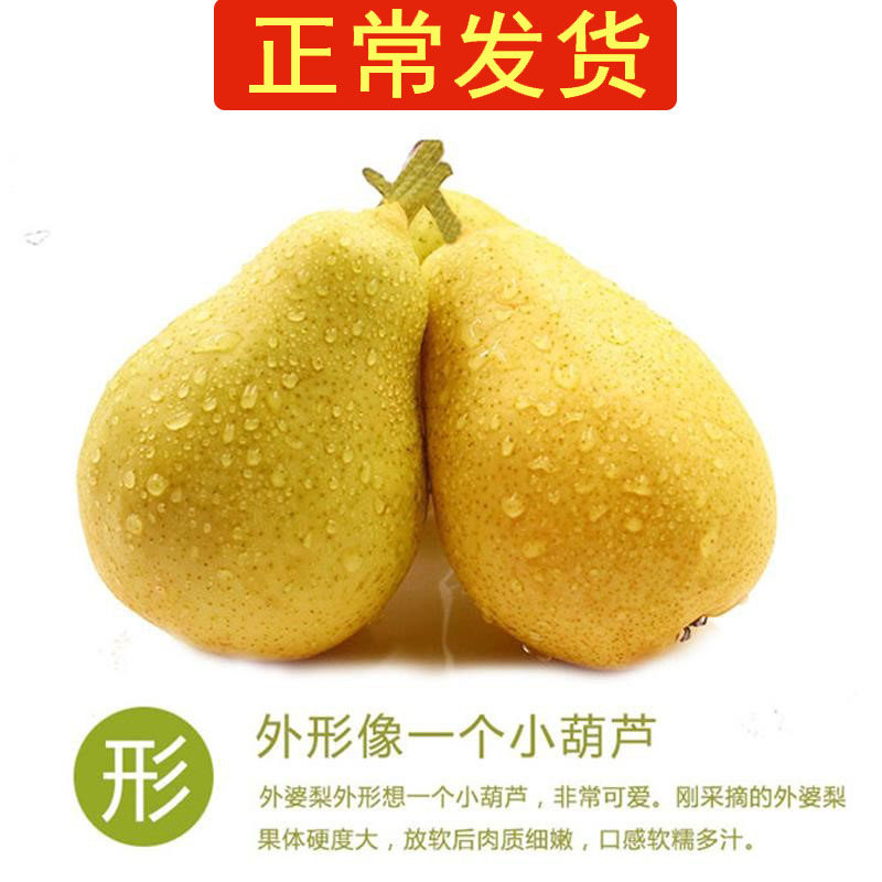 (Normal Hair) 5 catty of fruit fresh pears Pear Too pears Pear Soft Pear Northeast eggplant Pear Fragrant