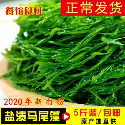 (Chang hair) 5kg of horse tail algae seaweed fresh longevity vegetables salt-stained ready-to-eat sheep and firecrackers