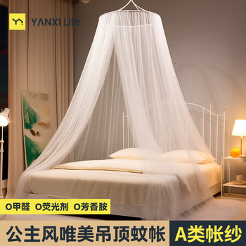 2025 New Princess-Style Dome Mosquito Net 2024 Home Bedroom No-Installation Ceiling Hook Ceiling-Mounted Palace Style Yx