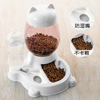 Fortune Ash (автоматическое кормление/автоматическое кормление)