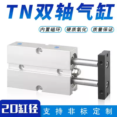Double Rod small cylinder double shaft double outlet pneumatic element TN20X10-15TDA32 20 30 40 50 60s