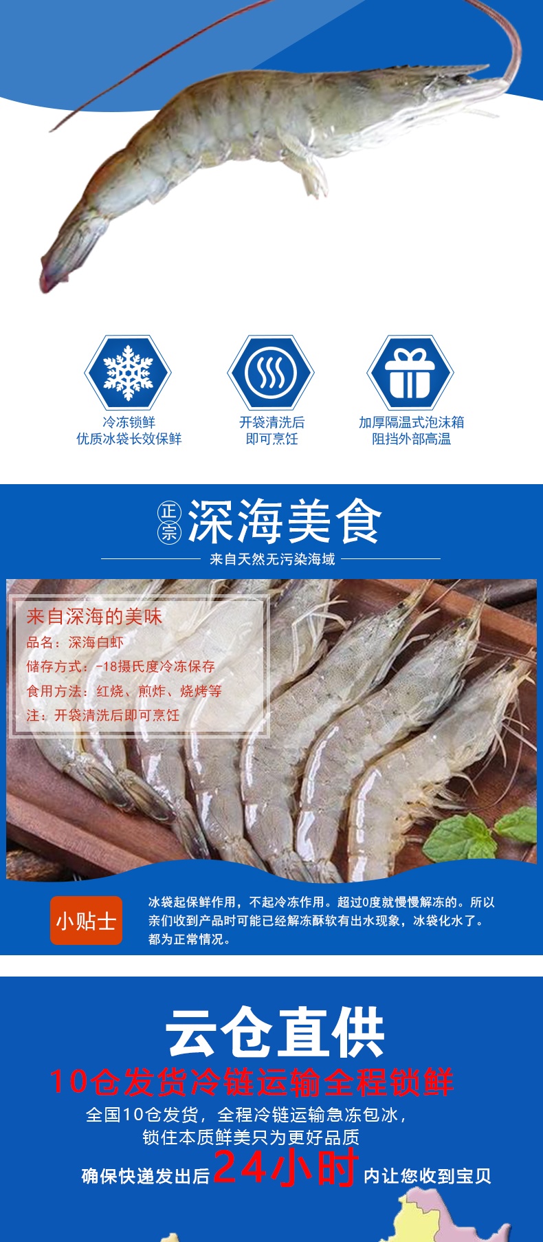 青岛 海捕海虾 净重2.8斤 10-12cm 图2