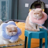 Элизабет кошачья водонепроницаем