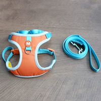 Шлейка Happy Elephant + поводок