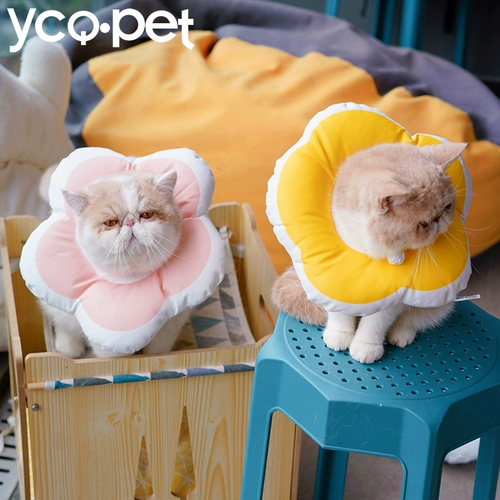 Элизабет кошачья водонепроницаем