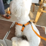 Веревка для подтяжки собаки, ходящая собачья тяга маленькая собака среднего штука для собачьего ремня для собак веревка для собаки