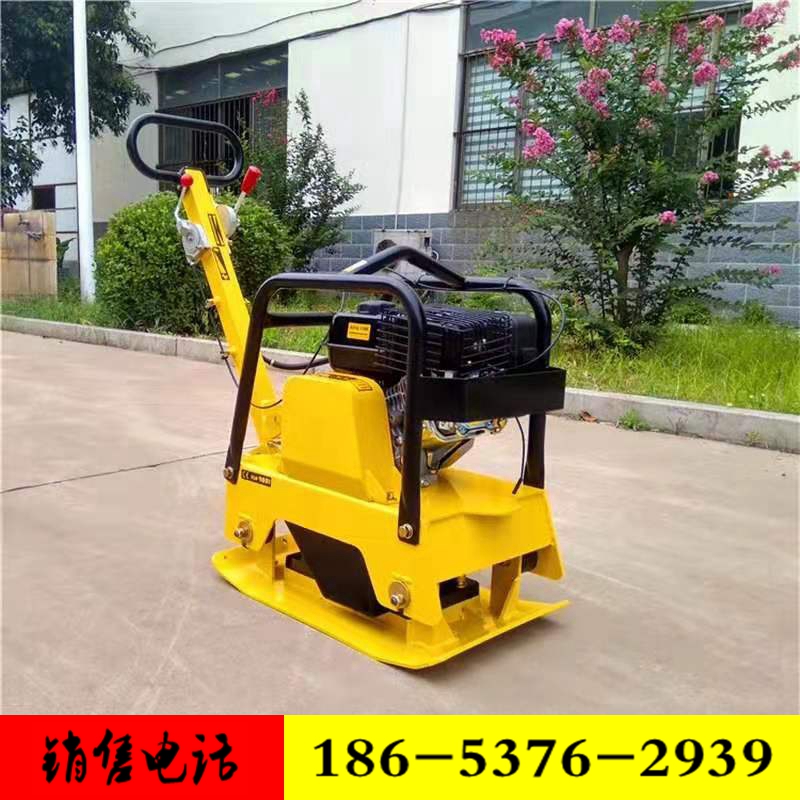 Hand-push bidirectional petrol asphalt pavement flat rammed small vibration multifunction pavement compaction tamping machine