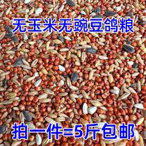 Corn-free and pea-free young pigeon food small pigeon food young pigeon and turtle dove food pigeon feed