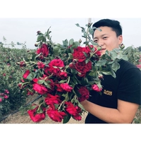 Национальный ангел [1,5 метра]