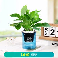 Потос + Удобрение (Синий горшок «Доброе утро»)