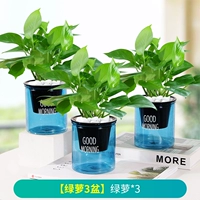 [Зеленый луо 3 горшки из синего бассейна] зеленый луо*3 (удобрения)