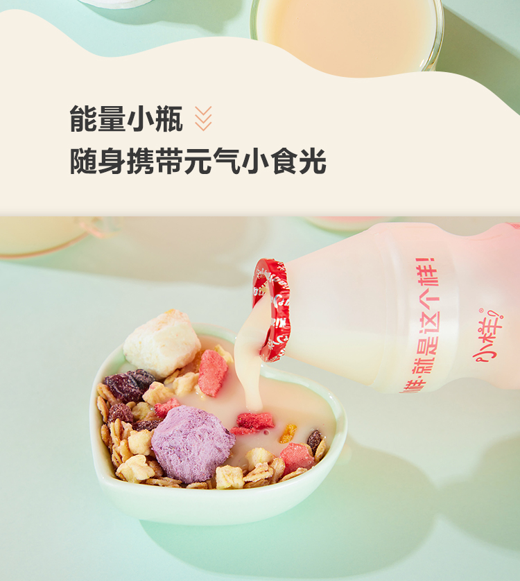 小样王珞丹版原味乳酸菌30瓶