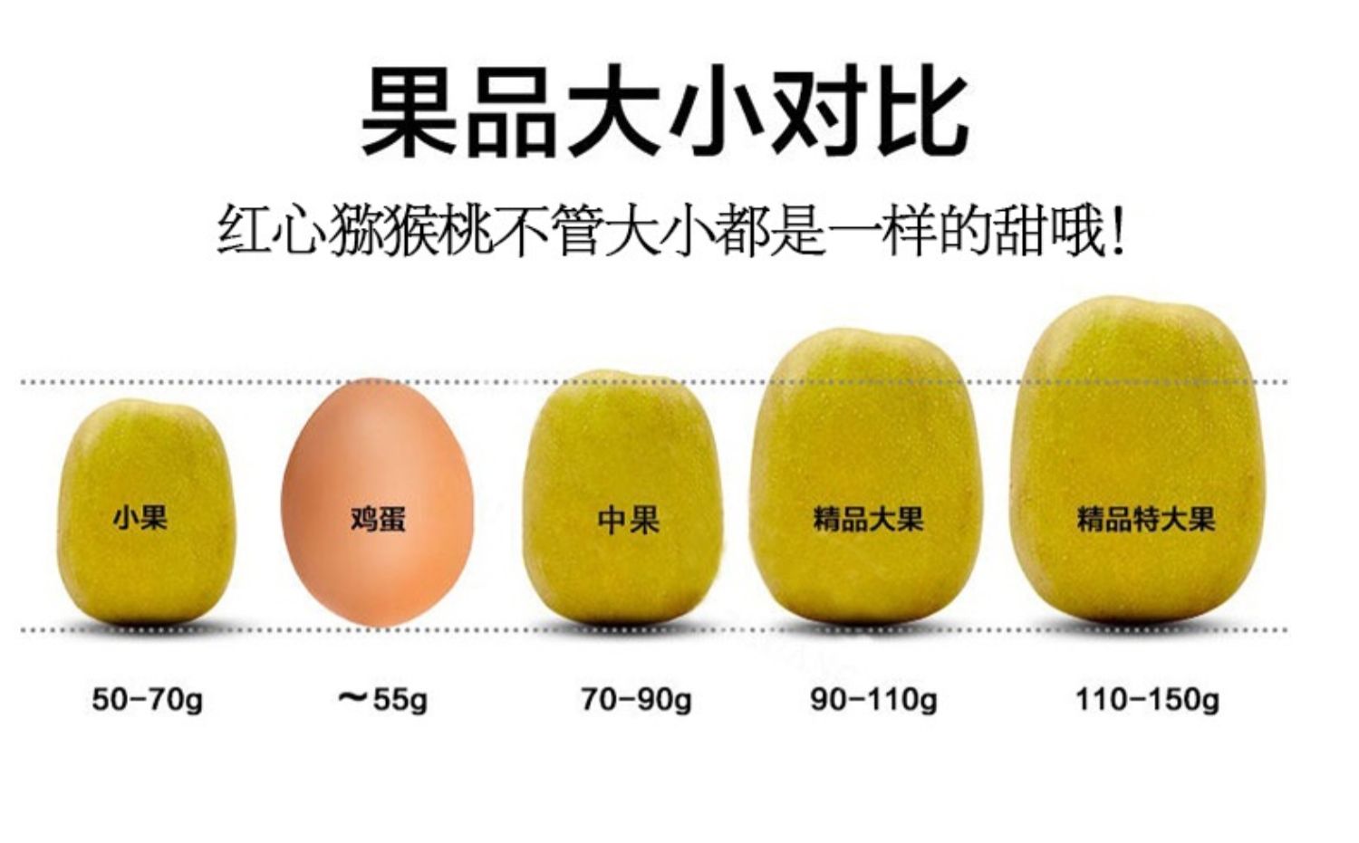 百人验货四川红心泥猴桃30颗