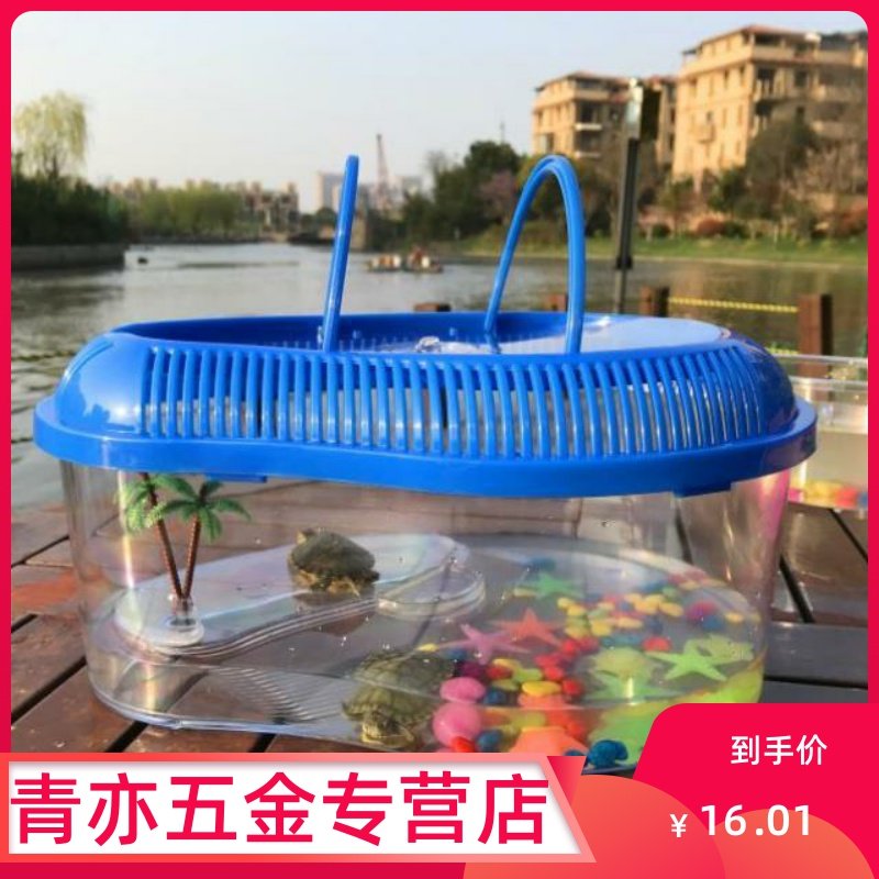 Small turtle tank with lid turtle tank with sunburned turtle box fish