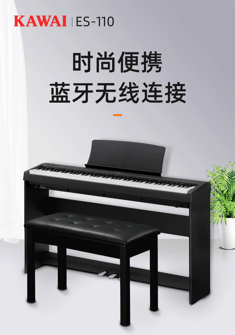 Cavai Piano ES-1110 Подробная информация о странице- (1) _01.gif