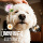 Американский гель для душа LOMQIT pet special effect brightening для стерилизации, дезодорации, удаления желтизны и отбеливания волос у беловолосых собак и кошек mini 3