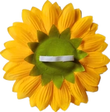 Creative Dance Reps to Sunflower Pellight Flower Evinged Meetty Meeting Red Song Chorus Group Performance Ring Ring