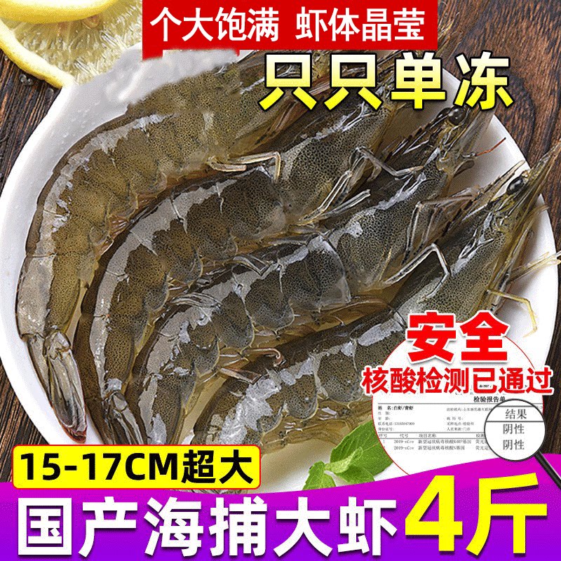 Fresh Great Shrimp Sea Catch Seafood Aquatic Whole Box Base Shrimp prawn Qingdao Shrimp 4 catties A box of fresh and frozen 8 kilos