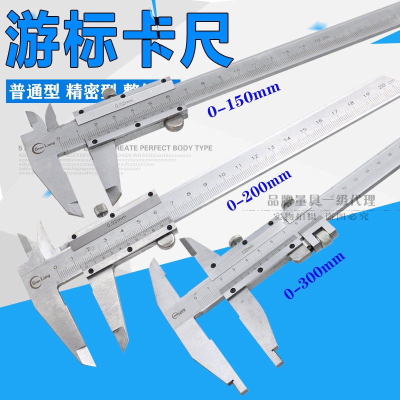 Shanghai Shensor Small overall cruise scale 0-100 0-100 125150200300500 600mm1 Mika