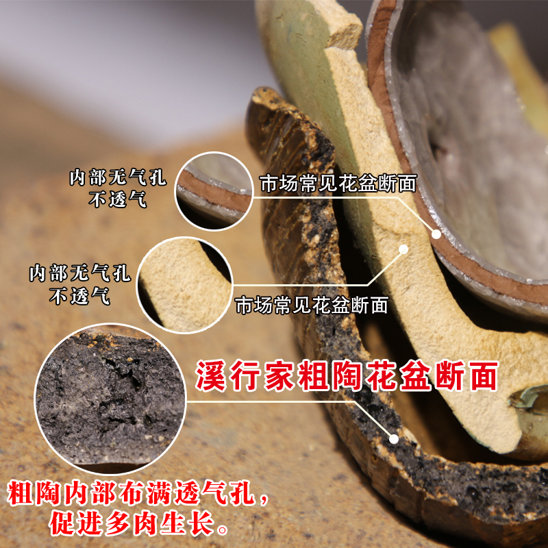 Coarse pottery flowerpot more meat retro flower pot hand knead ceramic small basin to defective hand of maifan stone flower pot