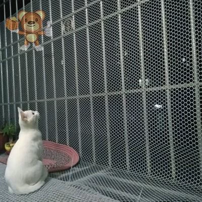 1 курица miao net yue chican кровать, сеть размножения, куриная сетка, пластиковая куриная курица с куриной пеной свинич