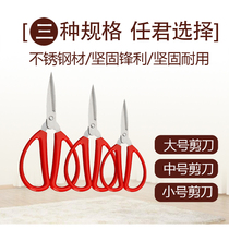 Home office scissors Sewing cloth kitchen paper-cutting multifunctional large medium and small stainless steel portable small scissors