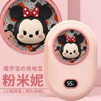 Минни-цифровое издание