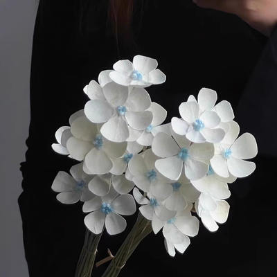 Wholesale of violet dried flower bouquets, preserved flowers, handcrafted white real flowers, air-dried, natural and high-end diy material packages