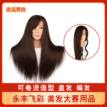 Hair head model full real hair apprentice can perm curl practice coil hair braided hair makeup doll model head full real hair