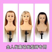 Yongfeng belt shoulder full real hair competition head model apprentice practice hair plate hair mold can be curled perm modeling head model
