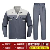 Красочный однослойный пропущенный пепел и темно-серый набор