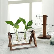 Minimalist hydropony glass transparent small vase water raising green loo plant flower pot bottle flower arrangement decorative creative pendulum