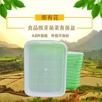 Sprout Fry Vegetable Bean Sprout Vegetable Seedling Pan Home Wheat Straw Bud Box Planting Vegetable Basin Hair Green Bean Water Bacon Plastic Tray Household