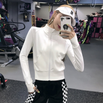Song Station Loose Slim Fitness Jacket Female Korean Zipper Slim Yoga Clothing Elastic Quick Dry Sports Top Spring and Autumn