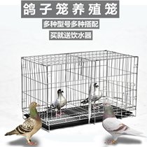 Pigeon Pairing Cage Plus Coarse Dove Cage Subbreeding Pairs Cage Nest Boxes Letter Pigeon Meat Pigeon Breeding Cage With Partition Bird Cage