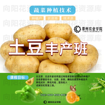 Tanzhou Educational Potato System Class Excellent Courses Tanzhou Agricultural Vegetable Planting Technology Tanzhou Out-of-Print Courses