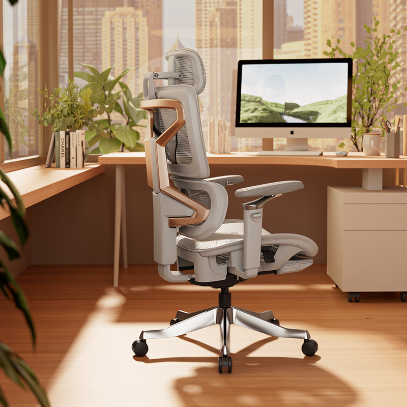 Mua ghế công thái học tại Hải Phòng