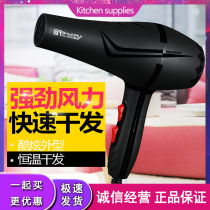 Homewise Hair Dryer Domestic High Power Negative Hairdresser ion thermostatic unwound three-in-one electric blow wind cylinder blower