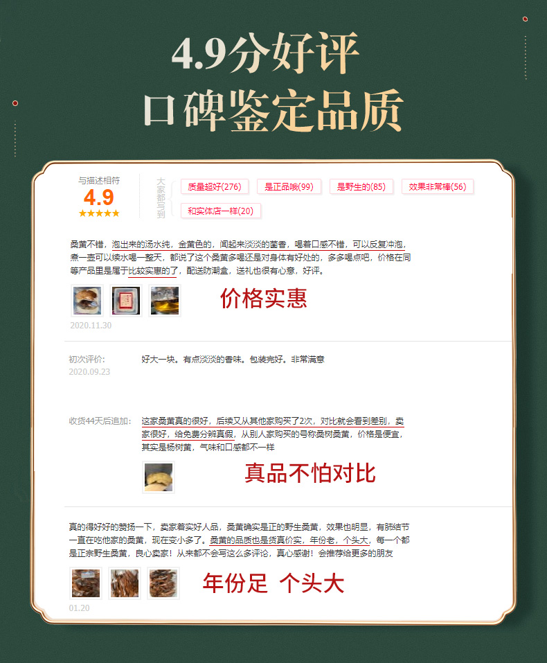 西藏野生桑黄片10g+送红枣片100g