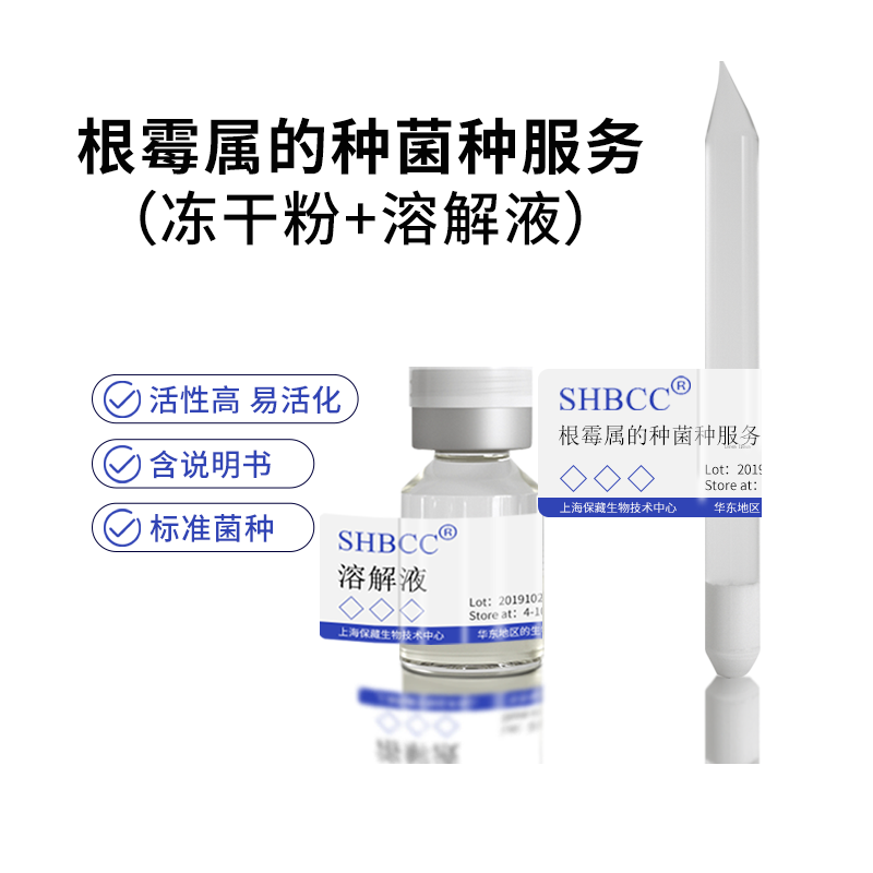 包邮冻干粉根霉属的种菌种服务服务