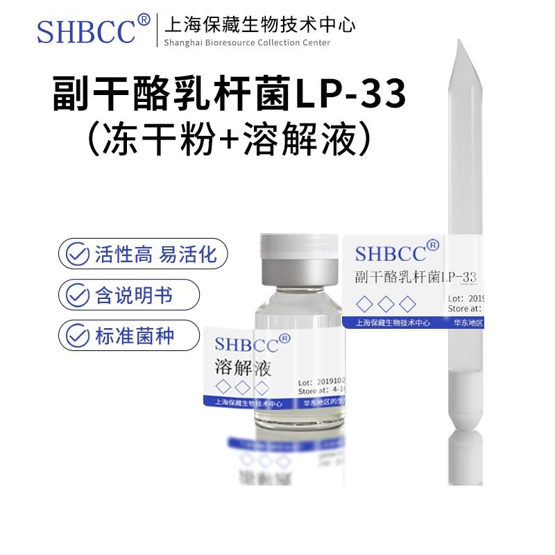 副干酪乳杆菌LP-33冻干粉益生菌MRS肉汤培养基30度静置扩繁菌液