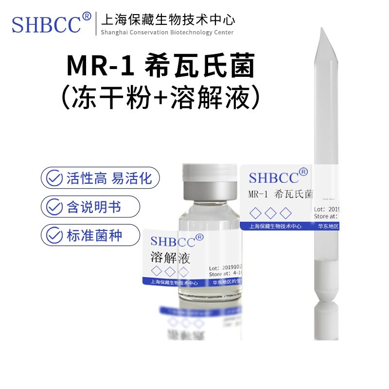 MR-1 希瓦氏菌 [CIP 106686]CIP 106686非模式菌株营养肉汁琼脂