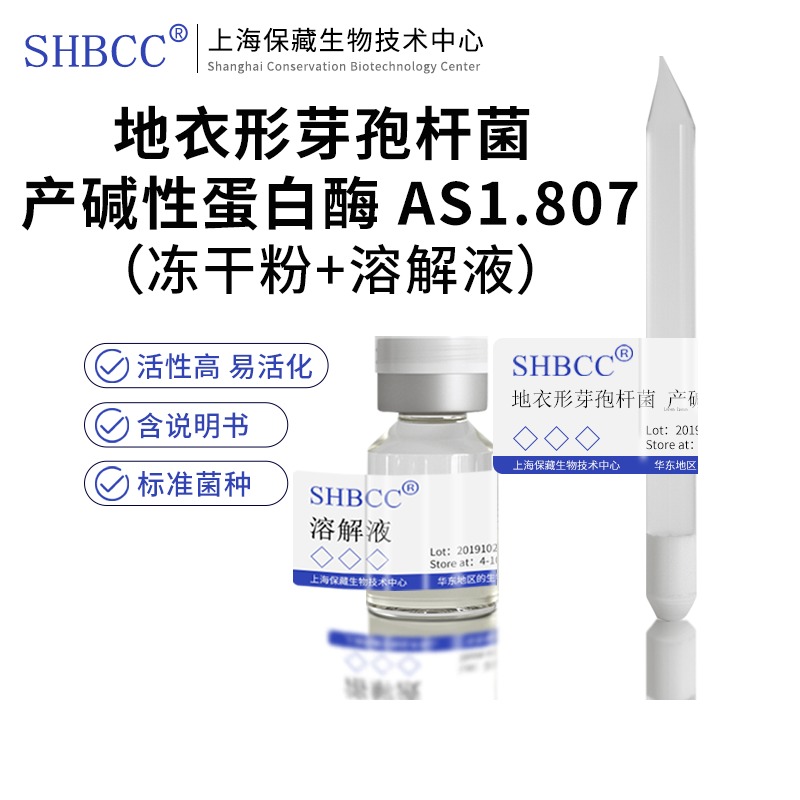 包邮 冻干粉 地衣形芽孢杆菌 产碱性蛋白酶 AS1.807